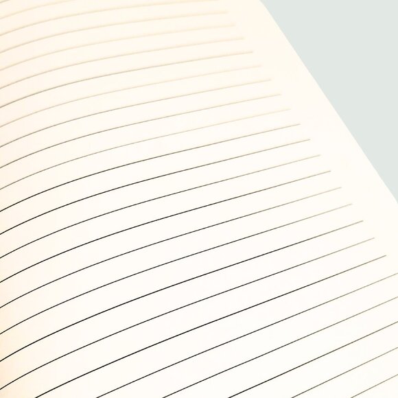 Daisy - Novelty Journal - Picture 4 of 4